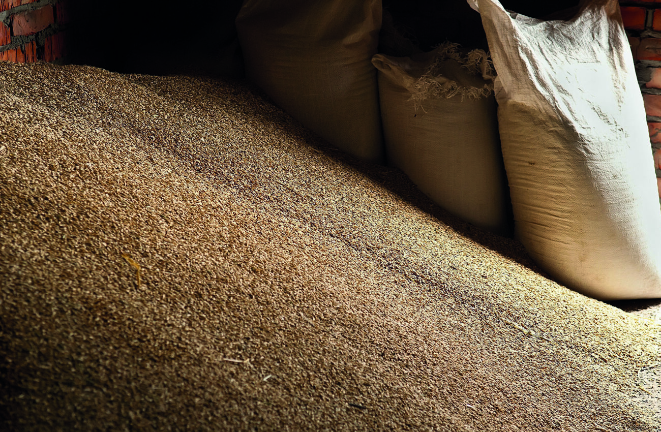 Wheat grains in sacks at mill storage